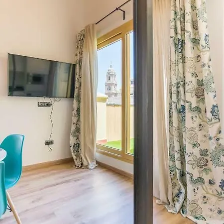 Apartment Esparteros Atico Premium *